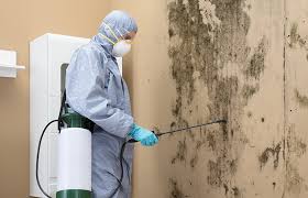 Best Forensic Mold Investigation  in Pablo, MT